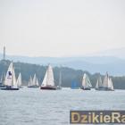 zdjęcie nr 100