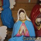 zdjęcie nr 10