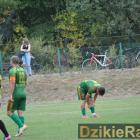 zdjęcie nr 96