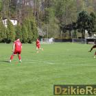 zdjęcie nr 13