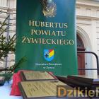 zdjęcie nr 37