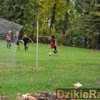 zdjęcie nr 44