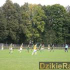 zdjęcie nr 31