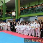 zdjęcie nr 14