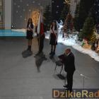 zdjęcie nr 246
