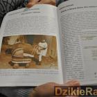 zdjęcie nr 24