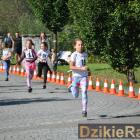 Fotka nr 1 z 111