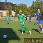 zdjęcie nr 12