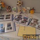 zdjęcie nr 52