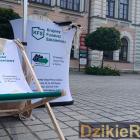 zdjęcie nr 8