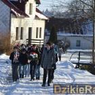 zdjęcie nr 7