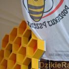 zdjęcie nr 106