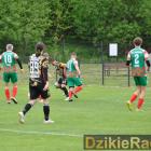 zdjęcie nr 139