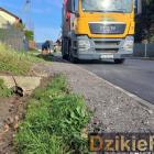 zdjęcie nr 11