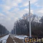 Fot: DzikieRadio®