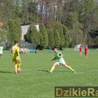 zdjęcie nr 17