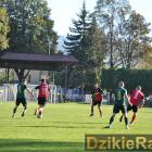 zdjęcie nr 21