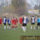 zdjęcie nr 49