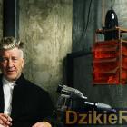 Fotka nr 3 z 6