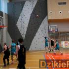 zdjęcie nr 10
