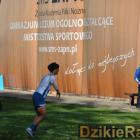 zdjęcie nr 121