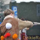zdjęcie nr 203