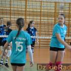 zdjęcie nr 28