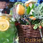 zdjęcie nr 59