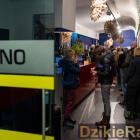 Fotka nr 5 z 6