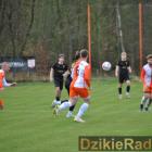 zdjęcie nr 8