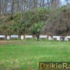 zdjęcie nr 4