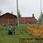zdjęcie nr 49
