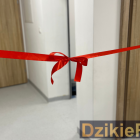 zdjęcie nr 8