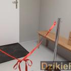 zdjęcie nr 22