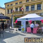 zdjęcie nr 22