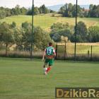 zdjęcie nr 38