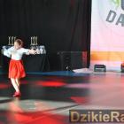 zdjęcie nr 14