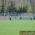 zdjęcie nr 15