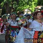 zdjęcie nr 8