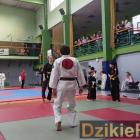 zdjęcie nr 111