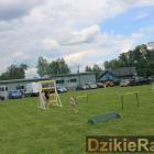 zdjęcie nr 144