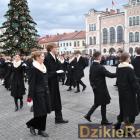zdjęcie nr 33