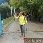 zdjęcie nr 19