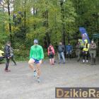 zdjęcie nr 37