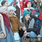 zdjęcie nr 15