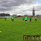 zdjęcie nr 97