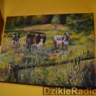 zdjęcie nr 74