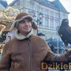 zdjęcie nr 9