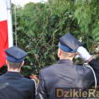 zdjęcie nr 161