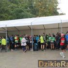 zdjęcie nr 39